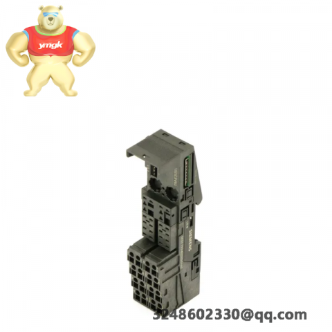 Siemens 6ES7193-4CG20-0AA0 Terminal Module