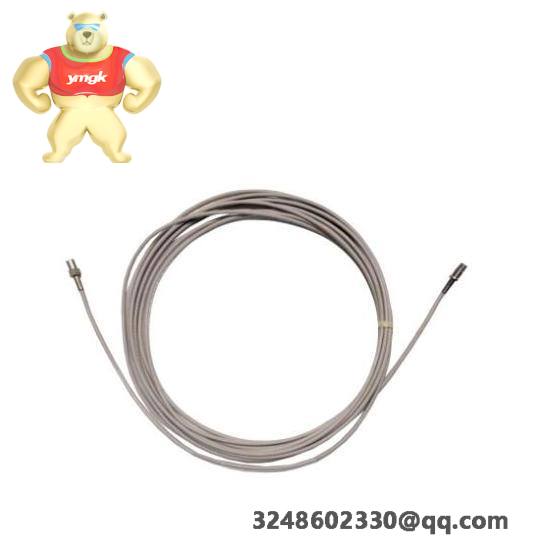 bently_nevada_330930-045-00-cn_extension_cable.jpg BlackBoxTech P188.R2 Industrial Control Module