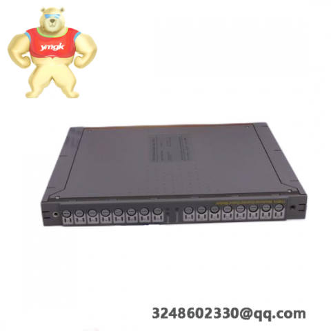 Amat 810-801237-021 Digital Input Module for Industrial Automation
