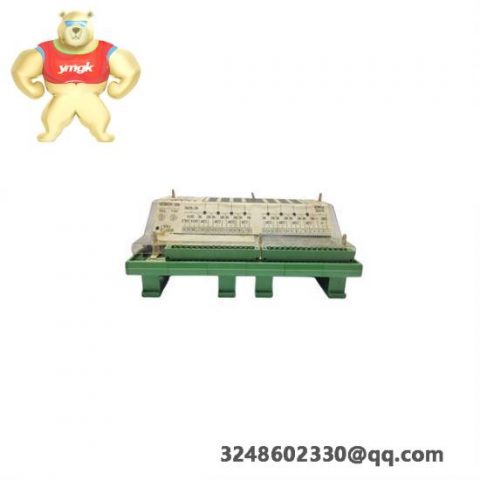 WOODWARD 9905-973 Custom Processing Module