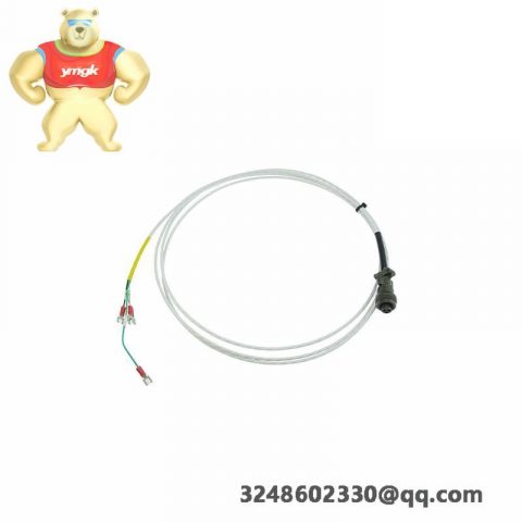 Bently Nevada 3500/61-01-00 Temperature Monitor (163179-02 & 133819-02)