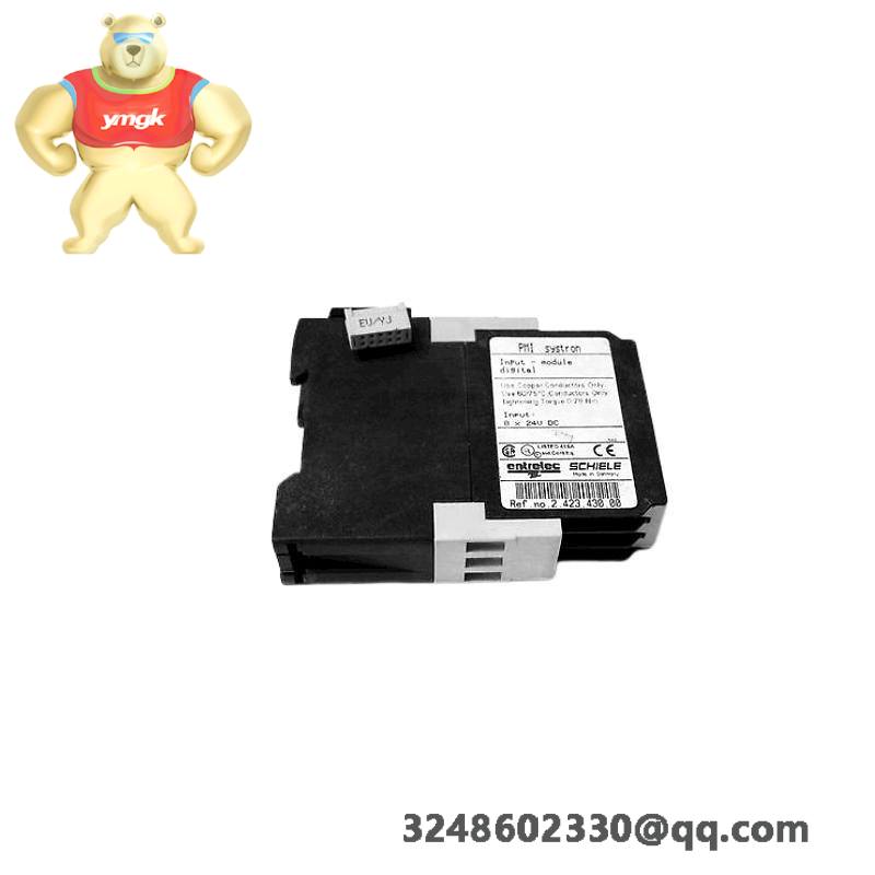 schiele_dl22n-22_1.jpeg Schiele DL22N-22 Multi-function Module, Efficient Industrial Control Solutions